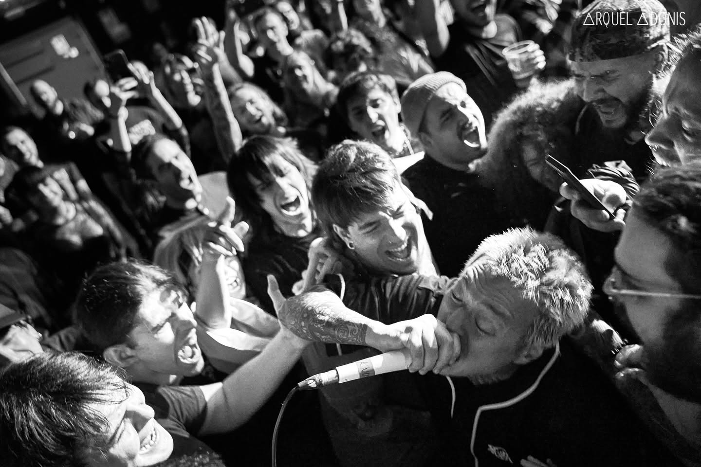702557251 18060585833687716 5463954748322618278 n 1 - 【Live report】Knosis「What Is PALEDUSK??」(Madrid/Revi Live) - NIPPONGAKU